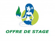 Offre de stage Marketing et Commercial (H/F) – Mars 2017